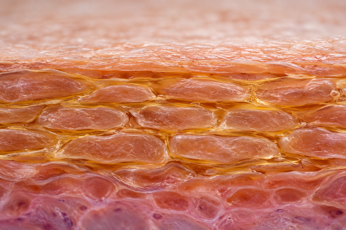 Ceramides: The Skin Barrier's Essential Building Blocks